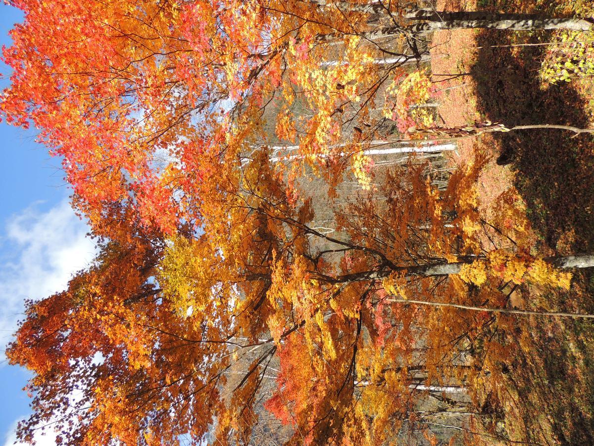 Nakao Kogen Hotel Kazaguruma Takayama  Dış mekan fotoğraf